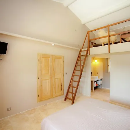 Villa In Provence With Infinity Pool