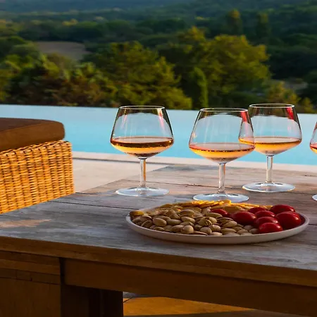 In Provence With Infinity Pool Villa Martres-Tolosane