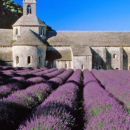 In Provence With Infinity Pool Villa Martres-Tolosane