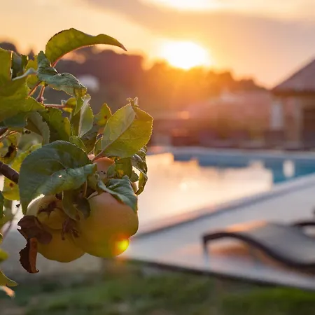 In Provence With Infinity Pool * Martres-Tolosane