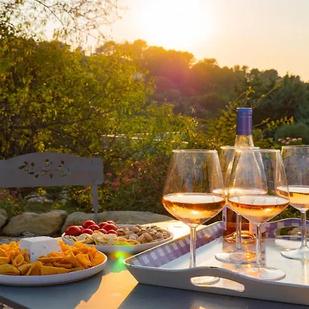 Villa In Provence With Infinity Pool *