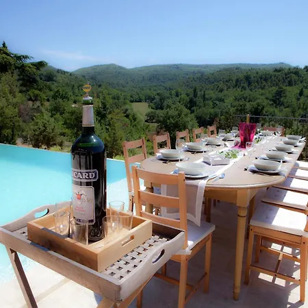 Villa In Provence With Infinity Pool *