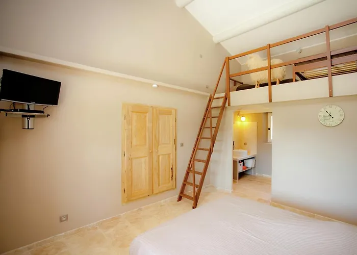 Villa In Provence With Infinity Pool