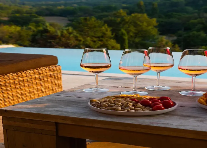 In Provence With Infinity Pool Villa Martres-Tolosane