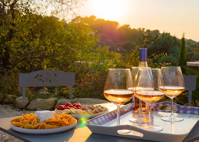 Villa In Provence With Infinity Pool *